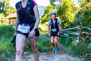 BIB: 2166
                            <button type="button" onclick="openModal(19048041)" class="btn btn-primary btn-sm float-right btn-popup" data-toggle="modal" data-target=".modal-high-quality">
                        <i class="fas fa-shopping-cart"></i> Add to Cart
                    </button>
                                            <button type="button" onclick="isThisMe(19048041, true)" class="btn btn-success btn-sm float-right btn-popup btn-isme hidden" data-toggle="tooltip" data-placement="bottom" title="นี่คือรูปของคุณใช่ไหม คลิกที่นี่เพื่อเอาเข้าอัลบั้ม">
                        <i class="fas fa-plus"></i> Add to album
                    </button>
                    <button type="button" onclick="isThisMe(19048041, false)" class="btn btn-warning btn-sm float-right btn-popup btn-isnotme hidden">
                        <i class="fas fa-ban"></i> Remove from album
                    </button>